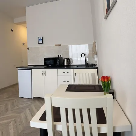 Brothers Apartments With Terrace In Old Tbilisi Exterior photo