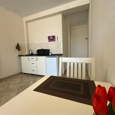 Brothers Apartments With Terrace In Old Tbilisi Room photo